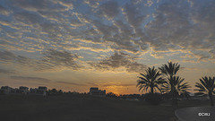 Dawn over Muscat Hills