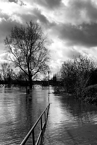 Rhein Hochwasser