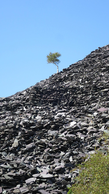 Dinorwig Slate Quarries