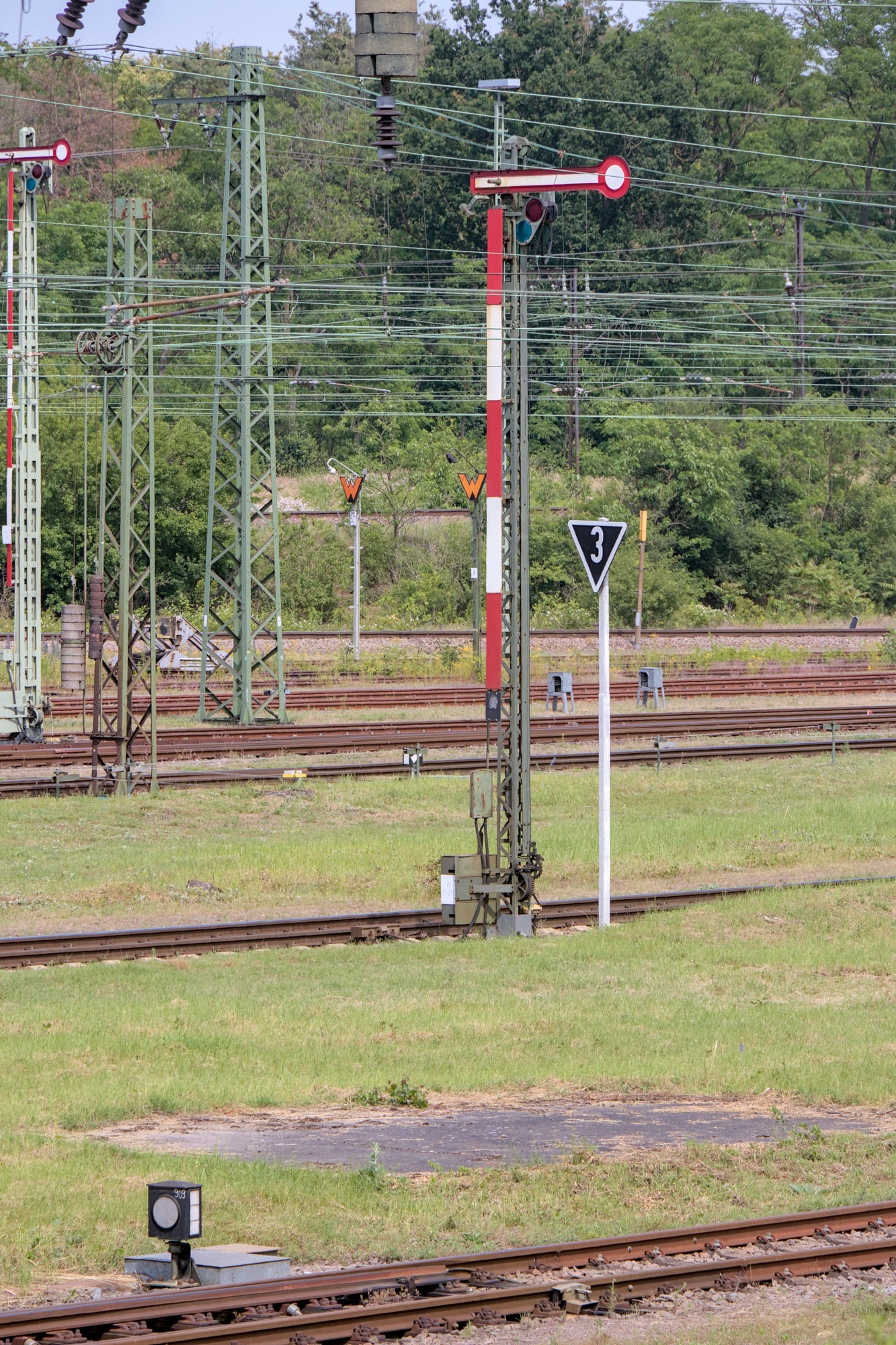 IMG 5643