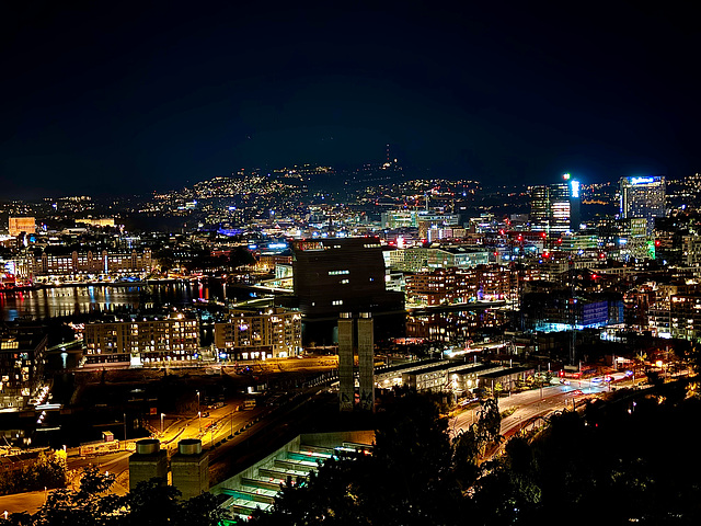 Oslo nightshot