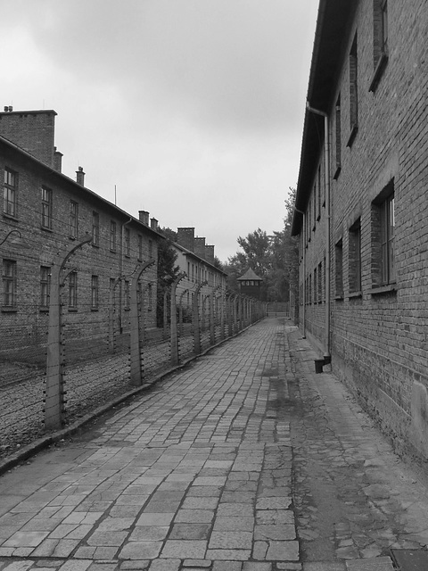 Auschwitz (23) - 19 September 2015