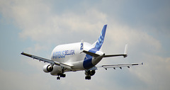 Der Airbus Transporter BELUGA 2 im Anflug auf den Flughafen Finkenwerder