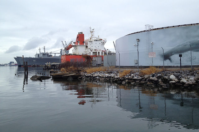 The Outer Harbor