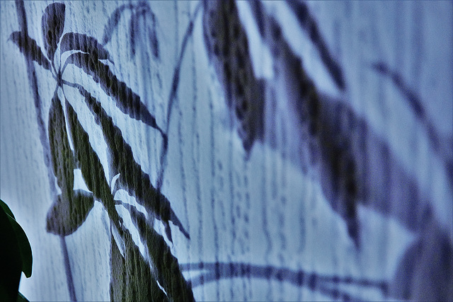 The Plant In The Corner 2 The Plant In The Corner 2