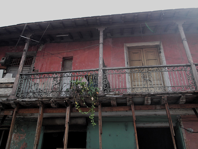 Plantes contre balcon / Plantas contra varanda