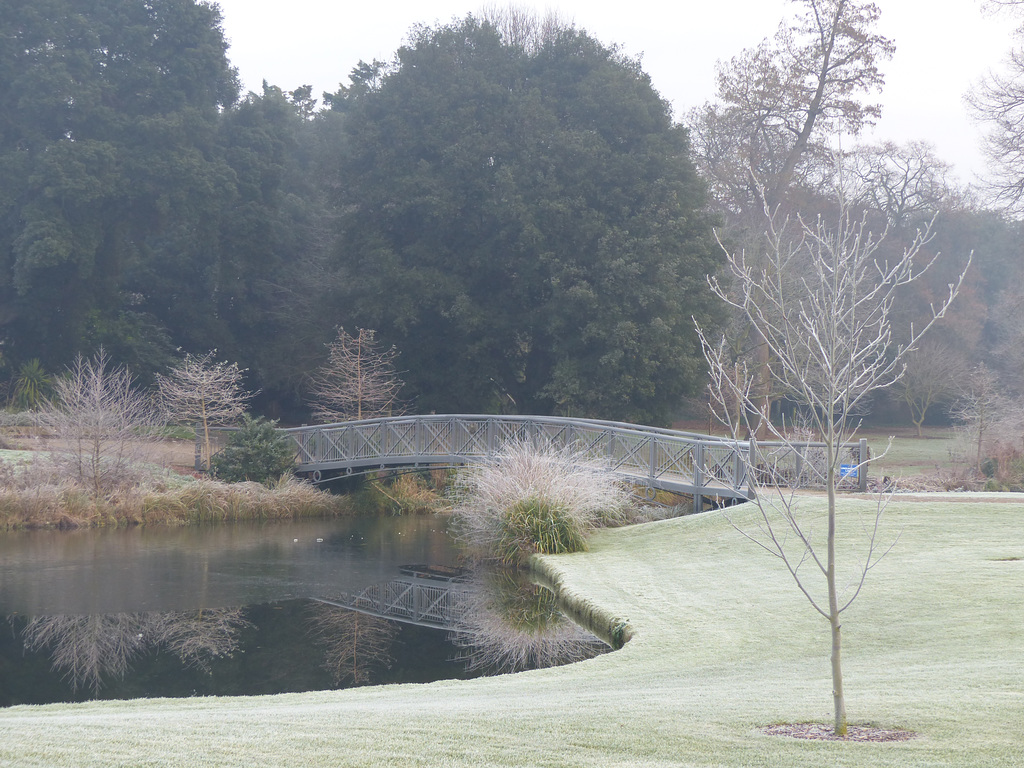 Around Syon Park (4) - 31 December 2014