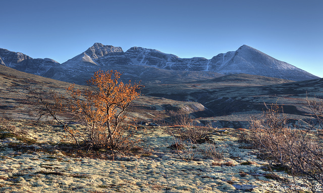 October evening in Dørålen, Rondane mountains.