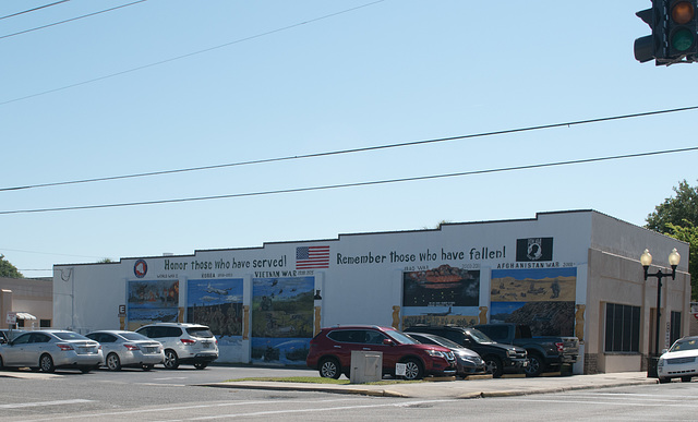 Palatka veterans memorial (#0427)