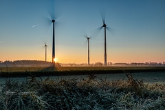 Sonnenaufgang Windpark Haselünne Flechum