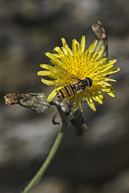 Dernières chaleur de l'été.