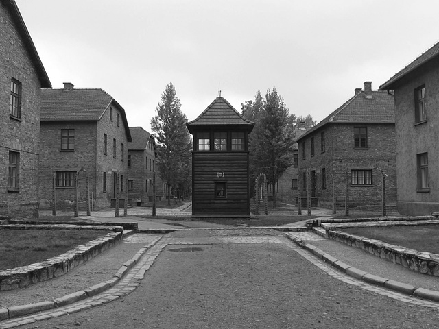 Auschwitz (25) - 19 September 2015