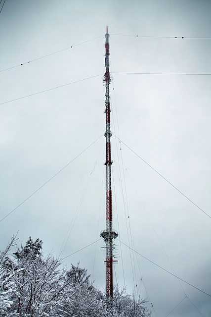 Der Sendemast Hordtberg des Langenberger Senders (Velbert) / 9.12.2017