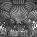 Chapter House of Wells Cathedral 1 (PiPs)