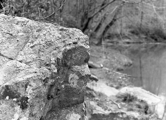 Banks of the Eno River