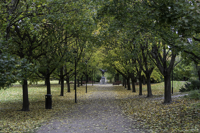 im Frognerpark ... P.i.P. (© Buelipix)