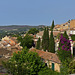 Bormes les Mimosas
