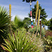 In the World Garden