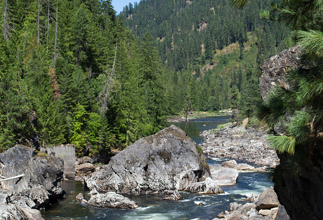 Idaho Selway Falls  (#0172)