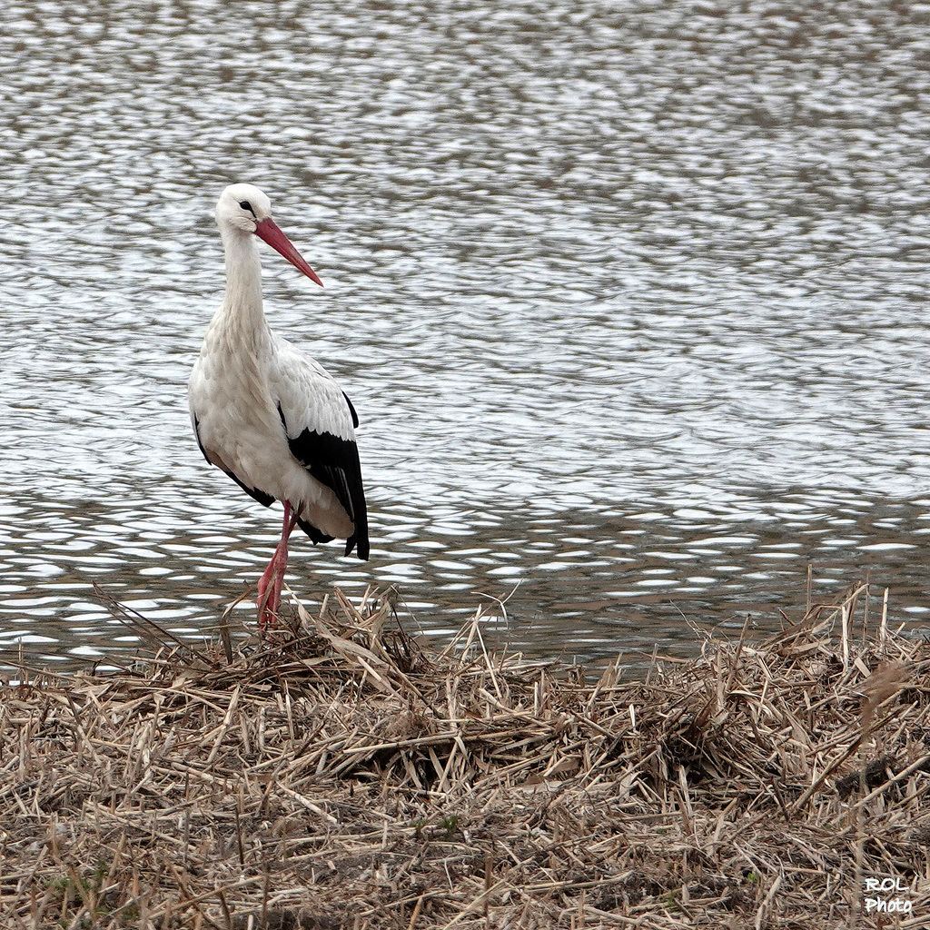 Rencontre...!