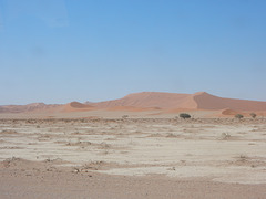 desert