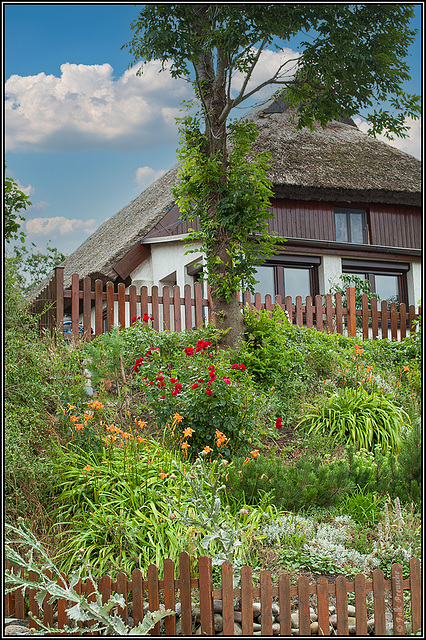 Reetdach in Vitt