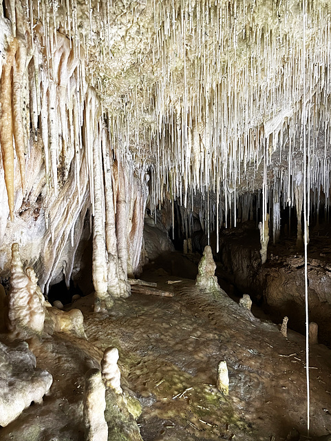 Coves de Campanet 1