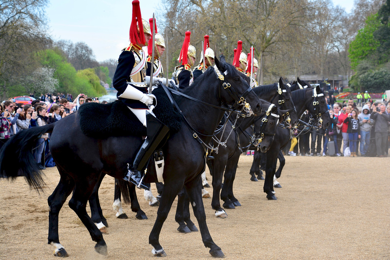 England 2016 – London – Getting the horses in line