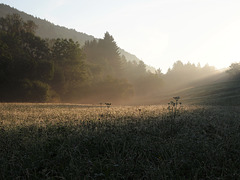 Minuten vor dem Sonnenaufgang