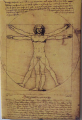 L. Da Vinci