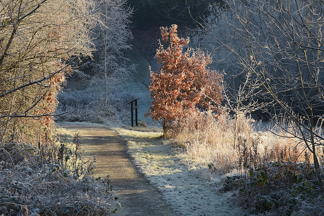 Natures Pulpit