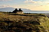 All too familiar a scene in the Orkneys - a ruined cottage with a million dollar view
