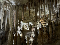 Coves de Campanet  2