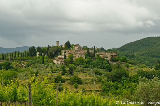 Greve in Chianti, Tuscany, Italia - 052714-005