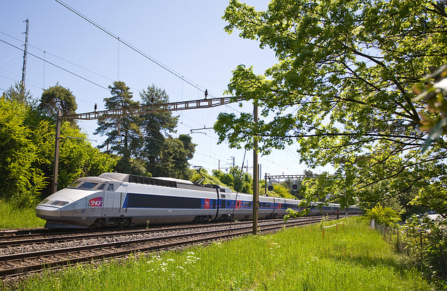 090507 TGV Malley B