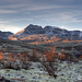 First light in Dørålen, Rondane mountains.