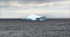 Iceberg about five km from my door