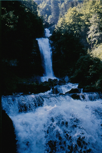 Switserland--Giesbachwaterval