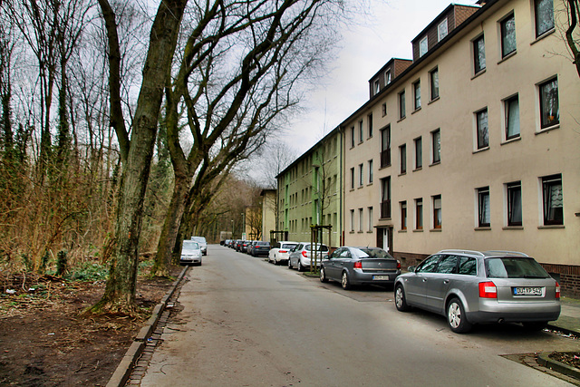 Düppelstraße (Duisburg-Untermeiderich) / 8.02.2020