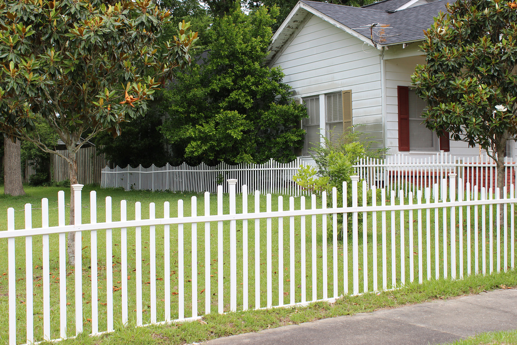 HAPPY FENCE FRIDAY !!   and a happy weekend !! ~~~