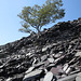 Dinorwig Slate Quarries