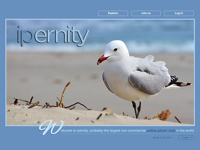 ipernity homepage with #1353