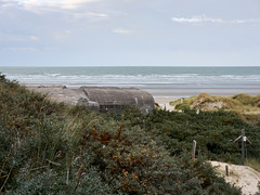 Belgien - In den Zeebermduinen