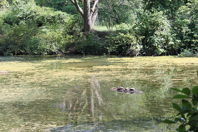Greenbelt Lake