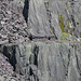 Dinorwig Slate Quarries