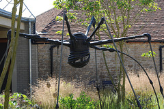 Louise Bourgeois' Spider - A Bit Closer