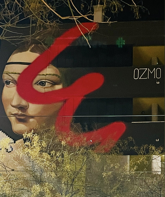 a famous Milanese Renaissance Girl, Ozmo