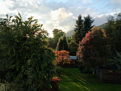Living room window Living room window