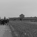 Auschwitz (27) - 19 September 2015