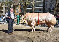 J'aurais bien aimé tailler une bavette avec lui !!!